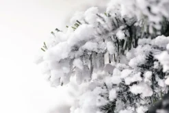 Abeto Artificial, Estrecho, Cubierto De Nieve 150 Cm