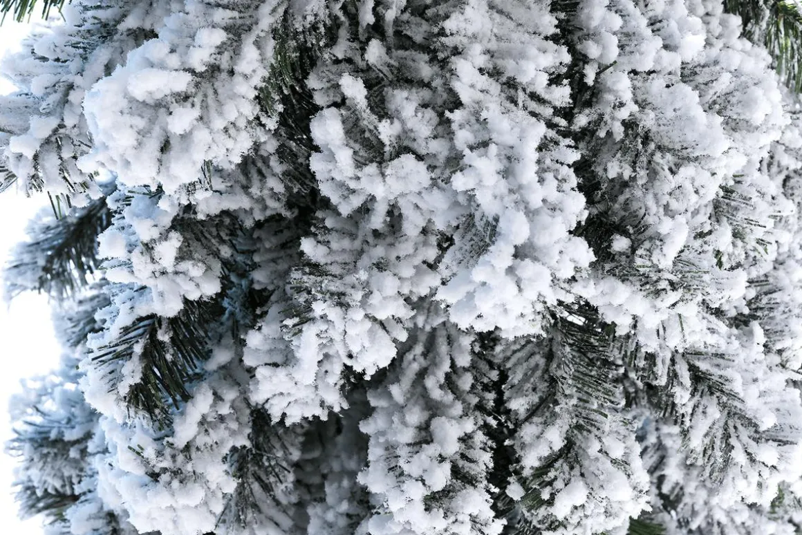 Abeto Artificial, Estrecho, Cubierto De Nieve 180 Cm