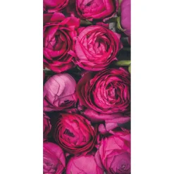 Bandera De Tela Ignífuga "flores De Ranúnculo Rosa" De Tela De Bandera 100 X 200 Cm