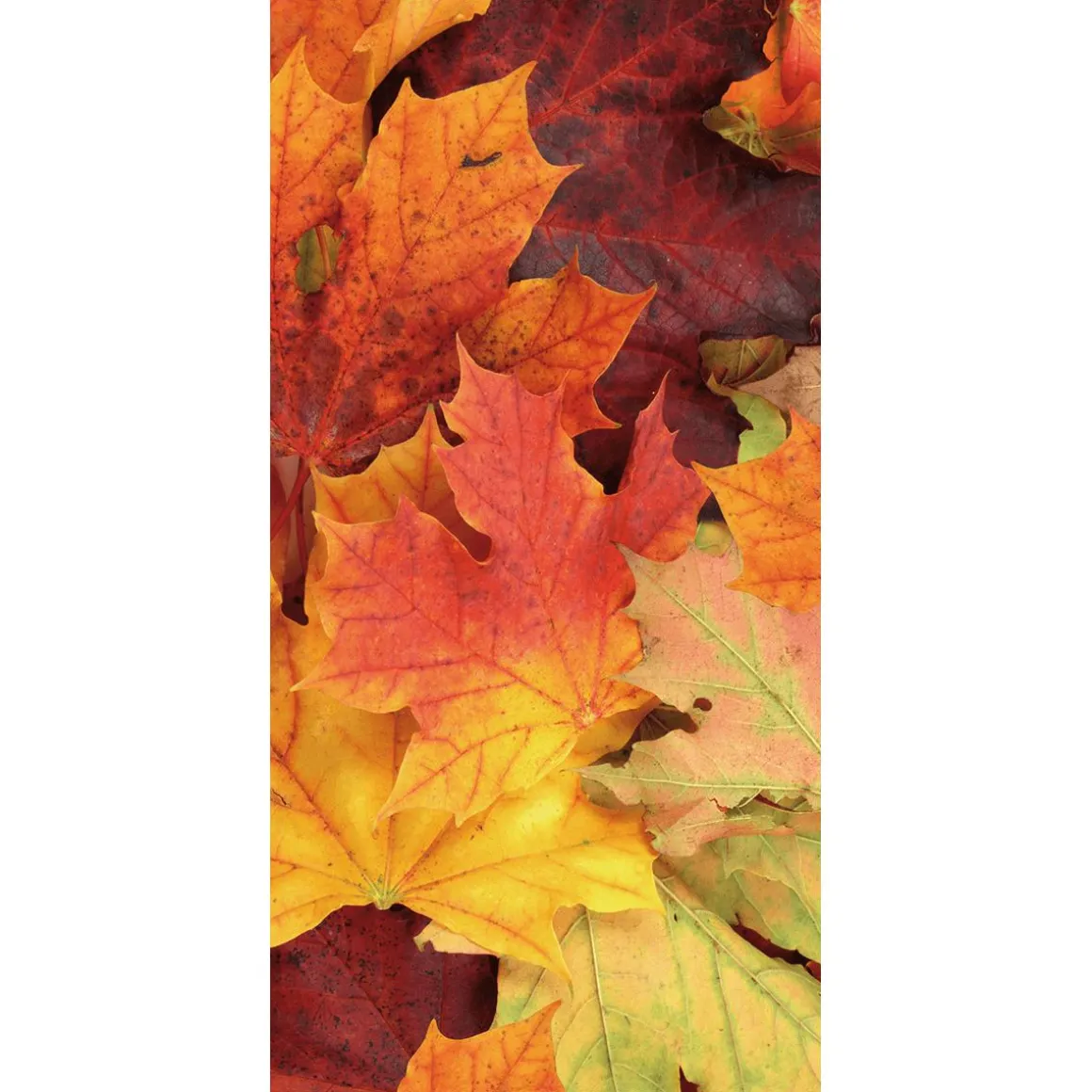 Bandera De Tela Ignífuga "Hojas De Otoño" 100 X 200 Cm