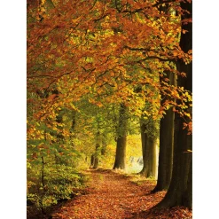 Bandera De Tela XL "Bosque De Otoño" De Tela De Bandera Ignífuga 150 X 200 Cm
