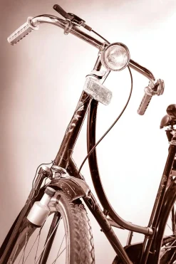 Bicicleta Original