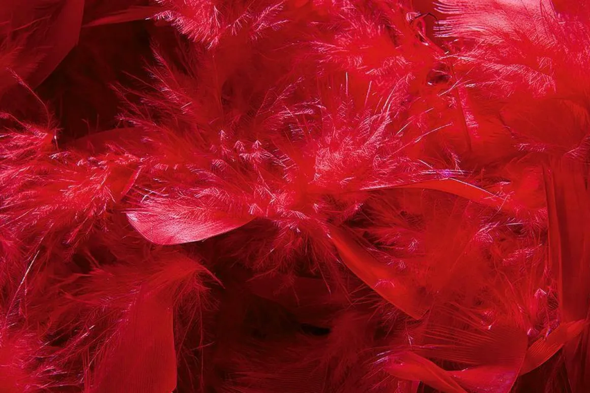 Boa De Plumas, Roja, 180 Cm