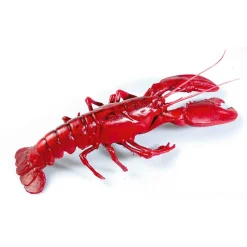 Bogavante Alimento De Imitación
