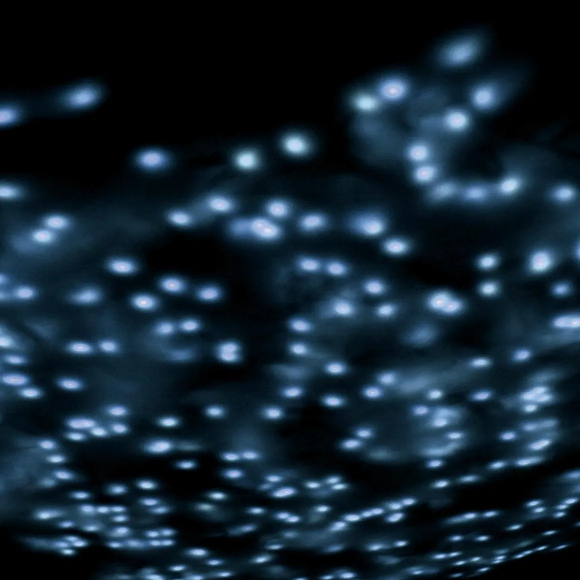 Cadena De Luces LED Con Temporizador, Para Exteriores, 6 M