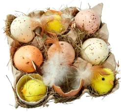 Caja De Huevos Y Pollitos