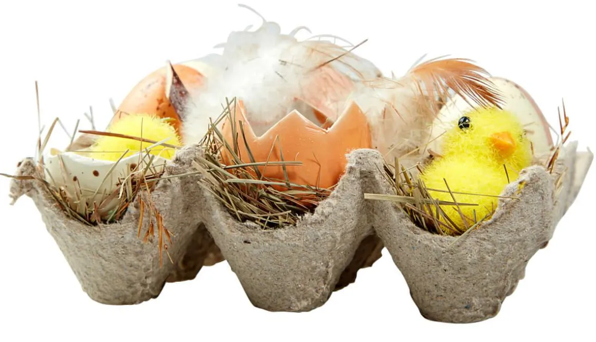 Caja De Huevos Y Pollitos