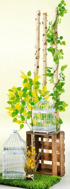 Caja De Vinos Original Longitud 46 Cm