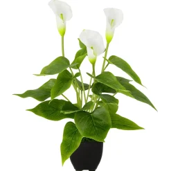 Calla Planta Artificial Blanca 40 Cm En Maceta