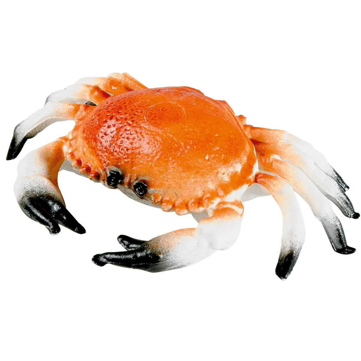Cangrejo Maniquí 20 Cm