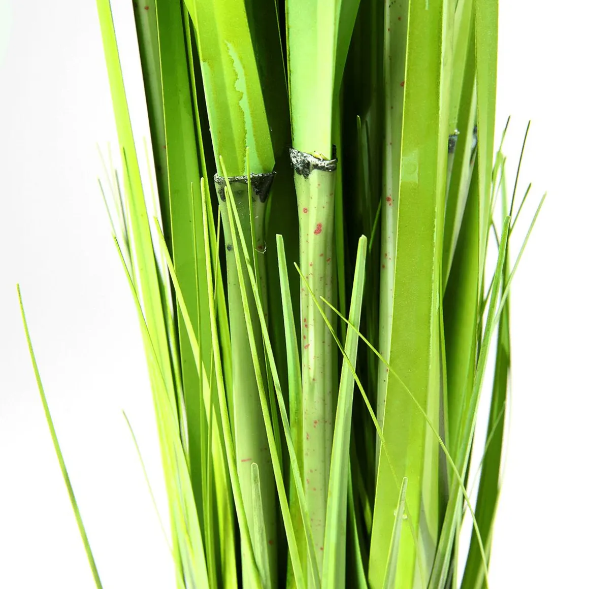 Carrizo Decorativo, 150 Cm