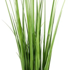 Carrizo Decorativo, 150 Cm