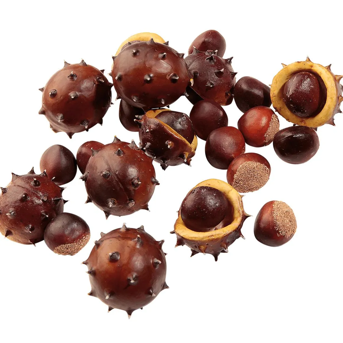 Castañas Decorativas, Ø 5 Cm, 22 Piezas