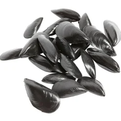Chupetes De Mejillones, Pack De 24 Uds.