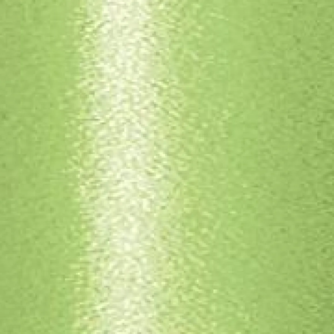 Cinta De Poliéster, Anchura 10 Mm, Color Verde Claro