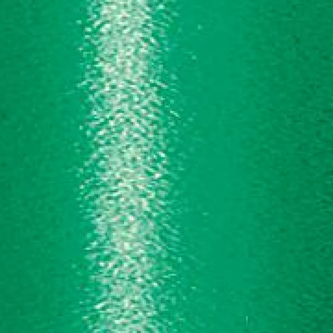 Cinta De Poliéster, Anchura De 5 Mm, Verde