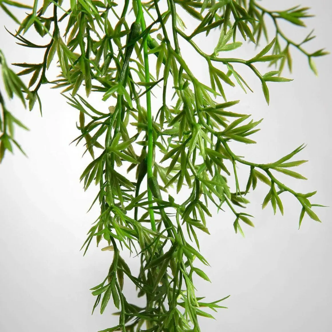 Colgador De Plantas Artificiales Espárragos Ornamentales, Verde Claro 84 Cm
