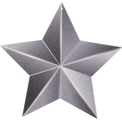 Colgador Estrella Negro, Brillante
