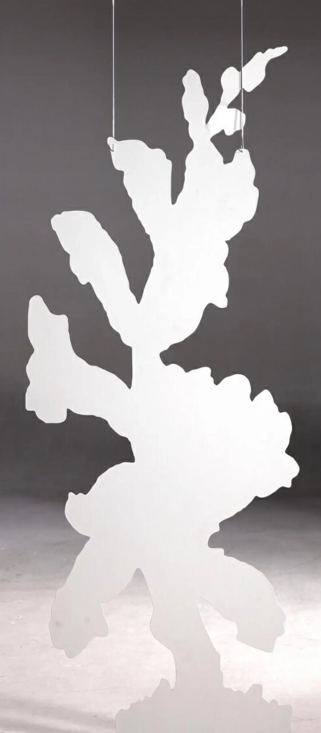 Colgante De Exposición "Dedalera" Anchura 156 Cm