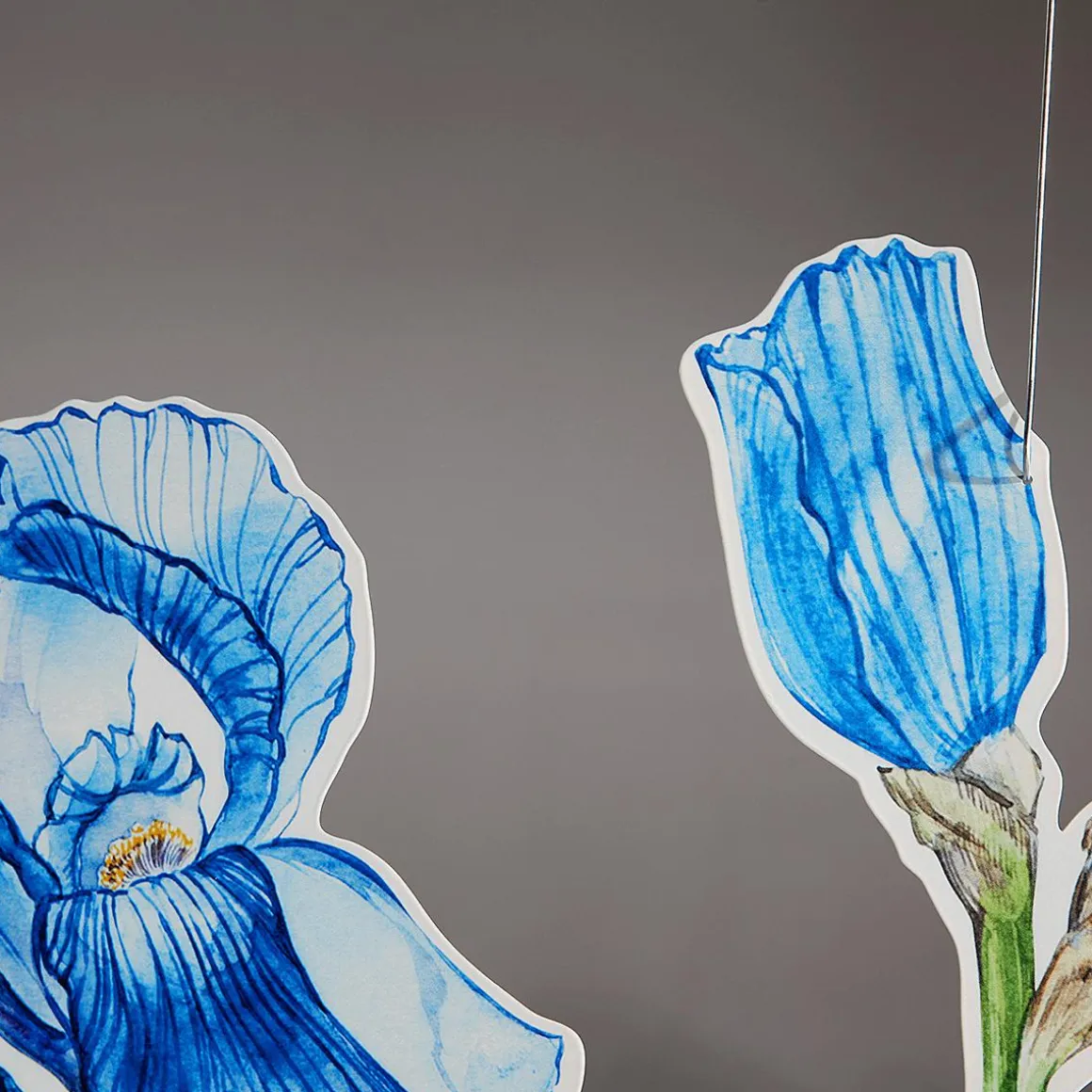 Colgante De Exposición "Iris" Anchura 110 Cm