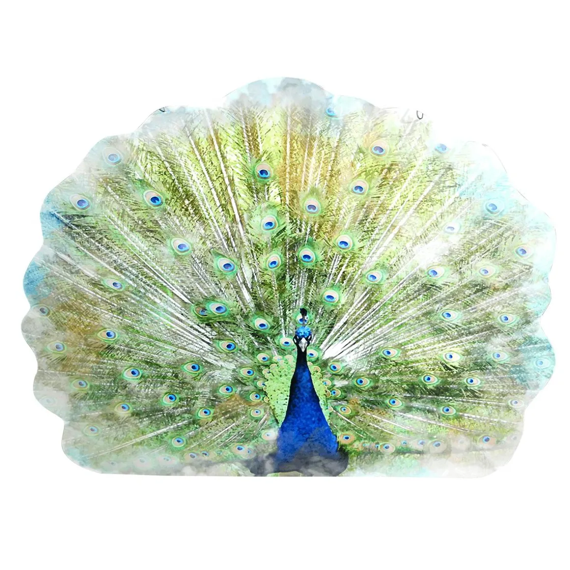 Colgante De Exposición "Pavo Real" Anchura 62 Cm