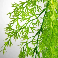 Colgante De Plantas Artificiales Espárragos De Sprenger Verde, 84 Cm