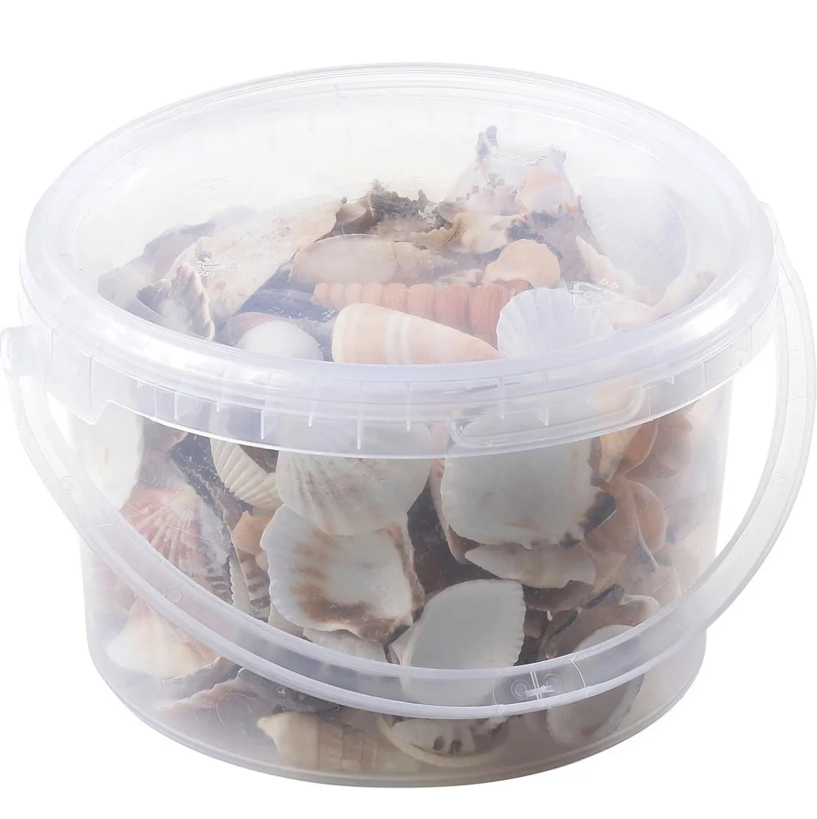 Conchas Y Caracoles Decorativos, 1400 G