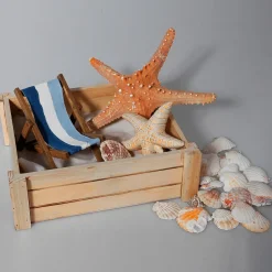 Conjunto De Cajas De Madera, Natural