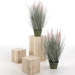 Conjunto De Minicolumnas De Madera Naturaleza