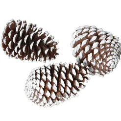 Conos Decorativos, 15 Cm 3 Piezas