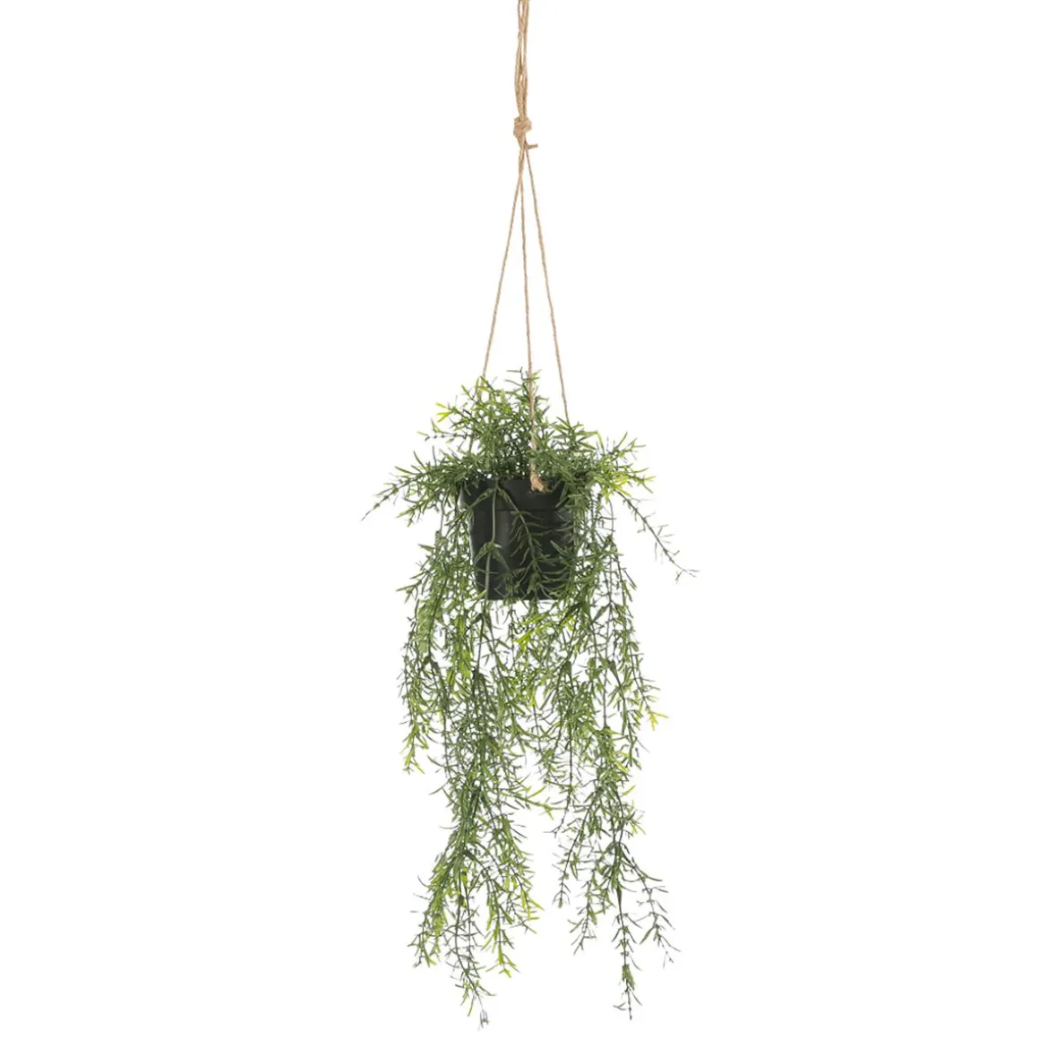 Espárrago Artificial Ornamental Asparagus Cesta Colgante 20 X 50 Cm