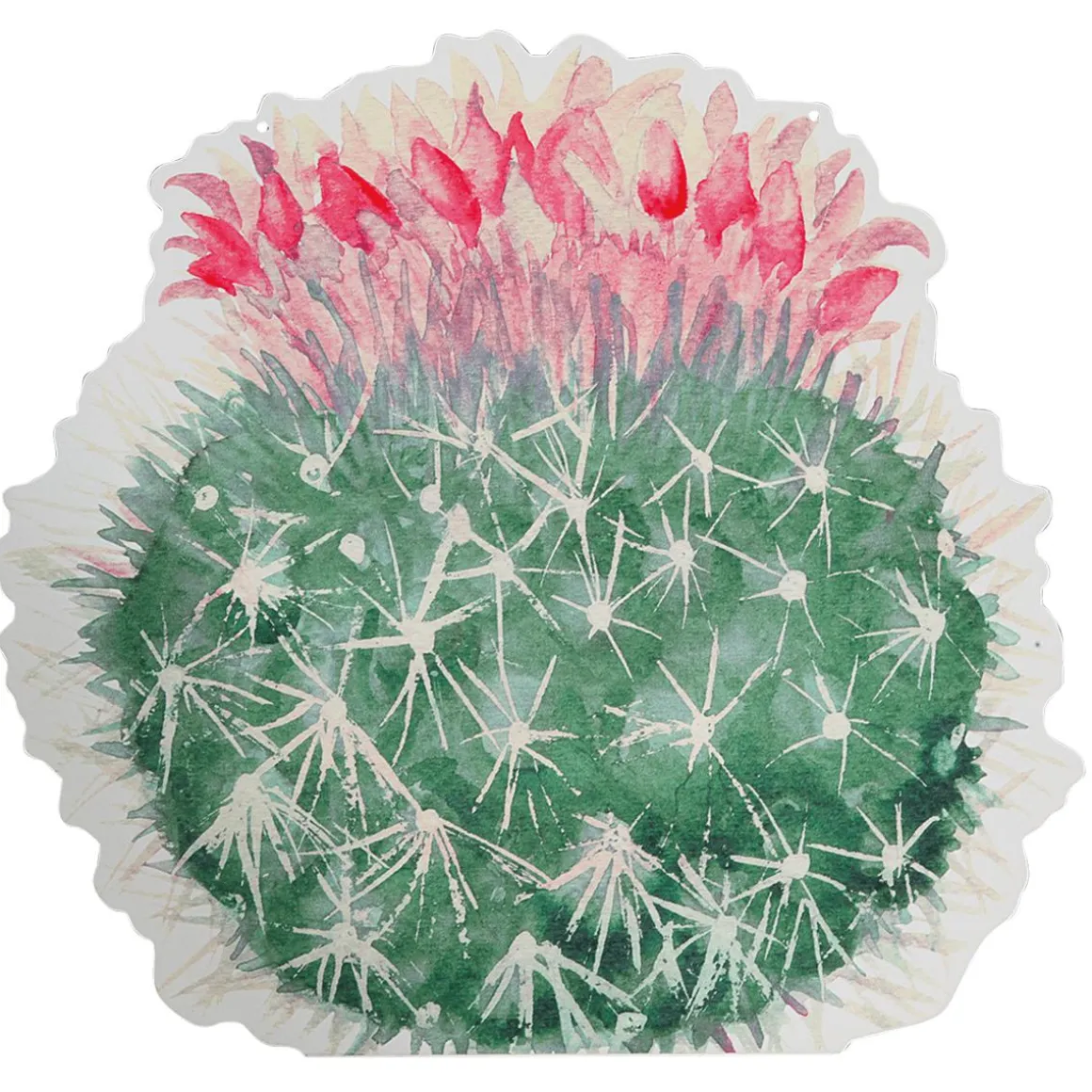 Expositor Para Colgar "Echinocactus" Fucsia
