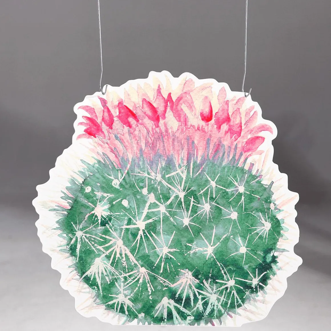 Expositor Para Colgar "Echinocactus" Fucsia