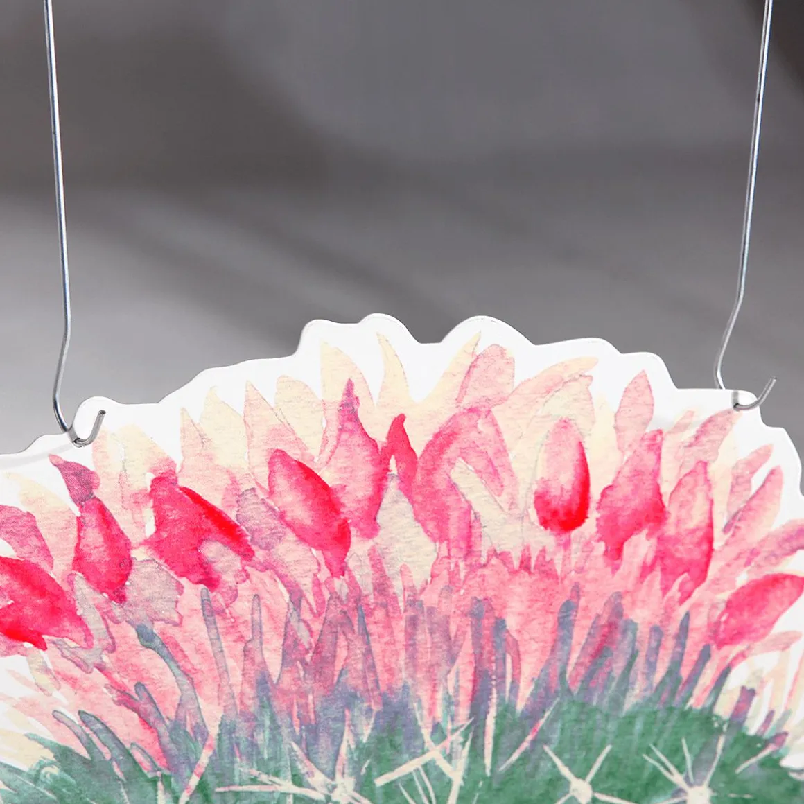 Expositor Para Colgar "Echinocactus" Fucsia
