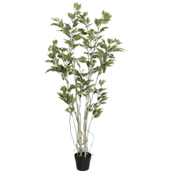 Ficus Artificial En Maceta