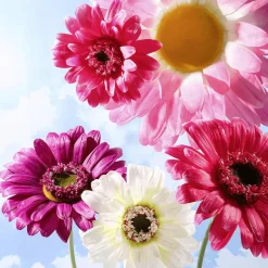 Flor De Gerbera Gigante Artificial, Ø 45 Cm, Color Fucsia