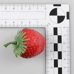 Fresas Alimentos De Imitación 24 Piezas