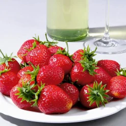 Fresas Alimentos De Imitación 24 Piezas