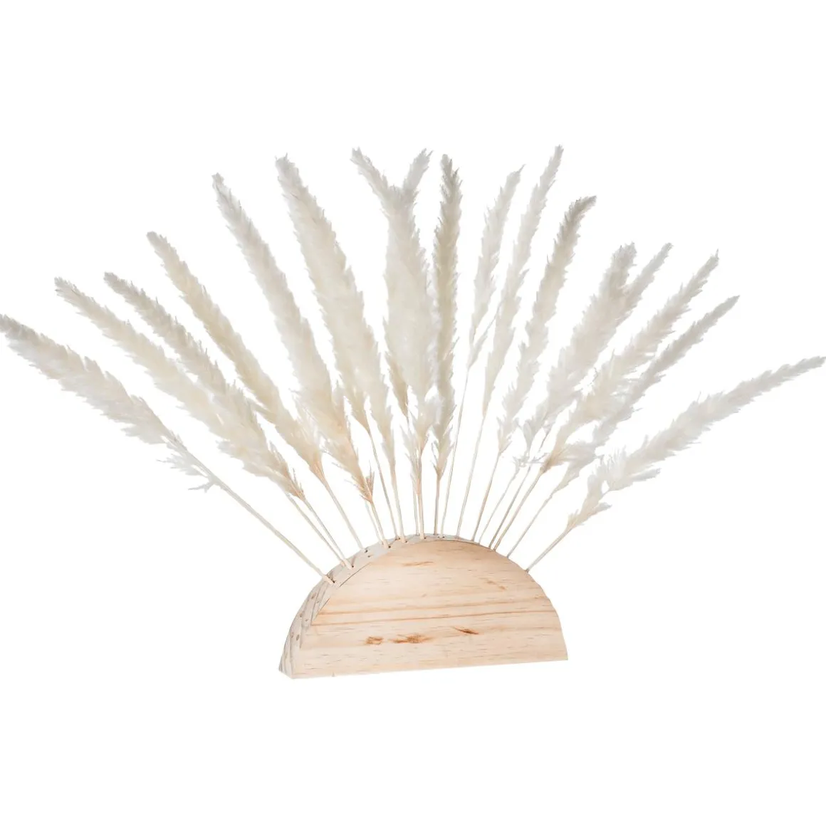 Fronda De Hierba De La Pampa Blanca Al Palo 45 Cm