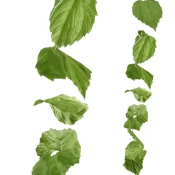 Guirnalda Artificial De Hojas De Abedul 160 Cm