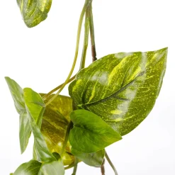 Guirnalda De Hiedra Artificial Pothos 170 Cm Verde Amarillo