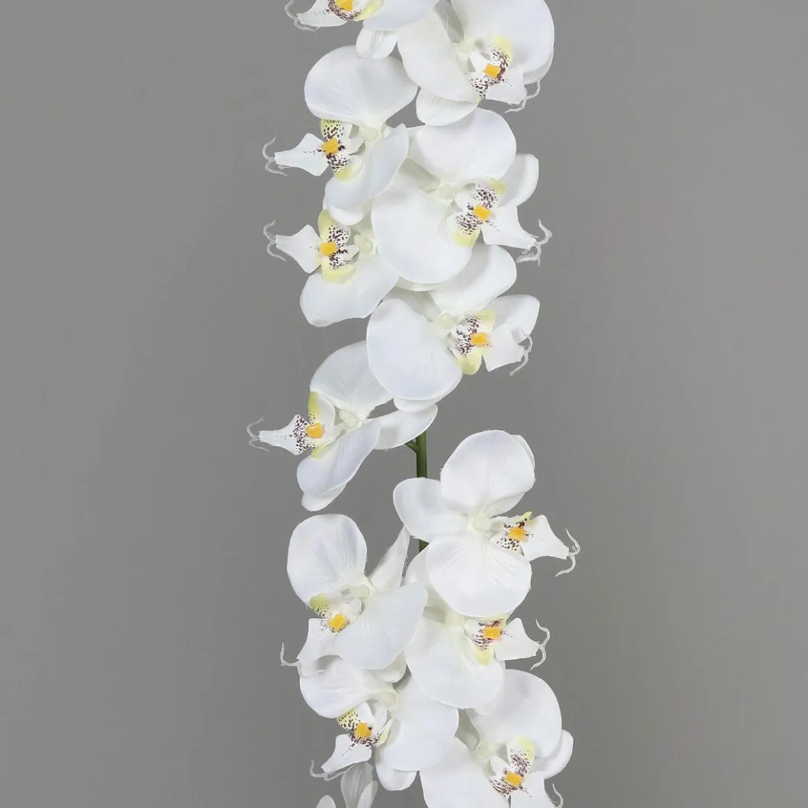 Guirnalda De Orquídeas Artificiales Blancas 175 Cm