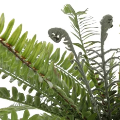 Helecho XXL - Planta Artificial Con Palo De Inserción 100 Cm Ø
