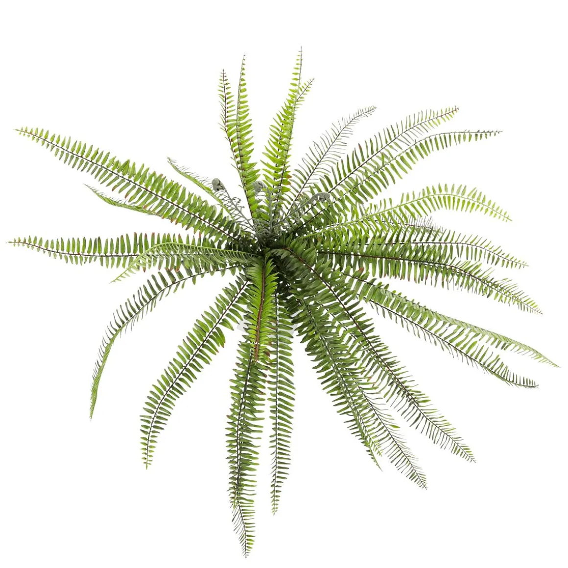 Helecho XXL - Planta Artificial Con Palo De Inserción 100 Cm Ø