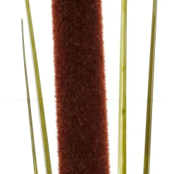 Hierba De Caña Deco 120 Cm Pack De 3