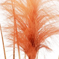 Hierba De La Pampa Decorativa De Color Naranja En Maceta Negra 117 Cm