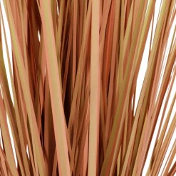 Hierba De La Pampa Decorativa De Color Naranja En Maceta Negra 117 Cm
