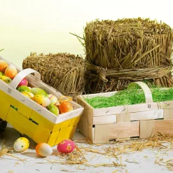 Hierba De Pascua
