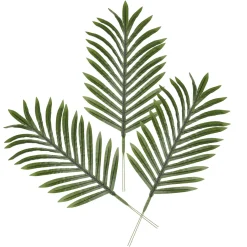 Hoja De Palma Areca Decorativa, Longitud 58 Cm, 3 Piezas