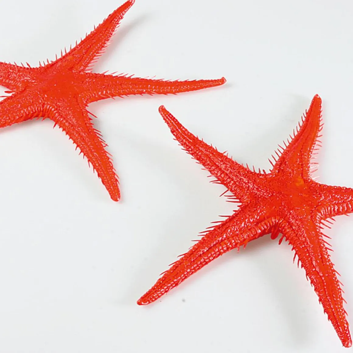 Imitación De Estrella Do Mar, 2 Piezas